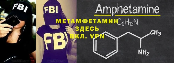шишки Новозыбков