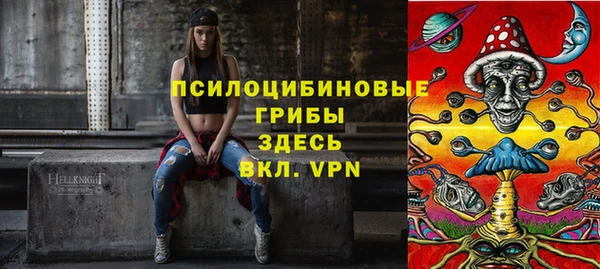круглые Ельня